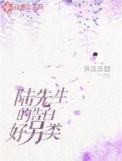 陆先生今天表白了吗免费阅读